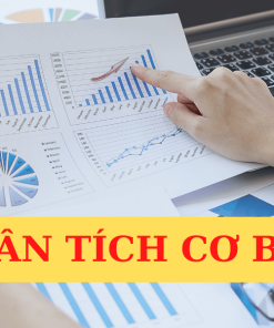 Phân tích cơ bản doanh nghiệp