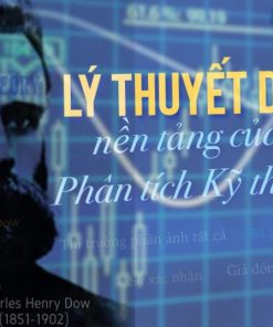 Lý thuyết Down